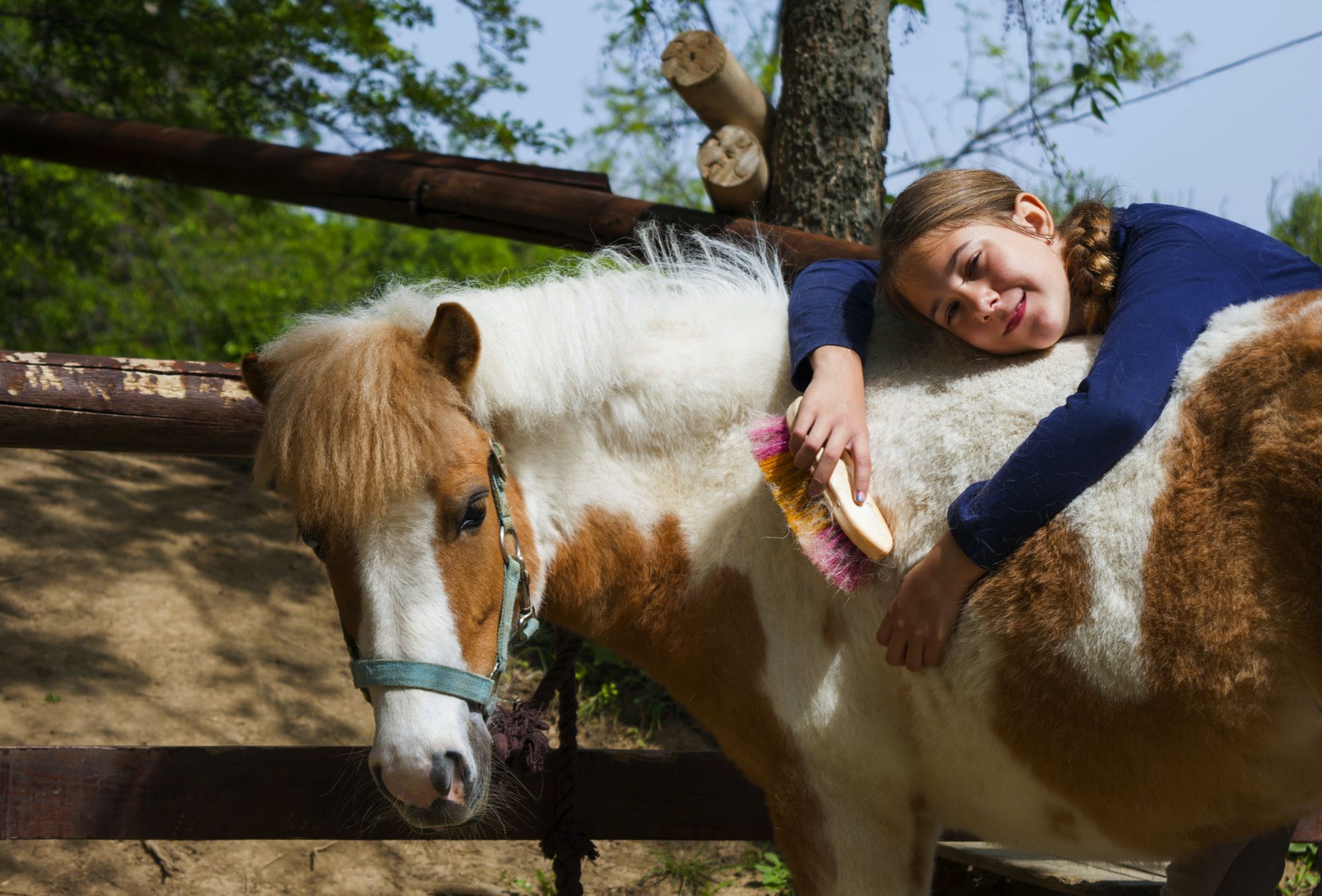 Hug & Groom 2022:  Come and Meet the Horses!