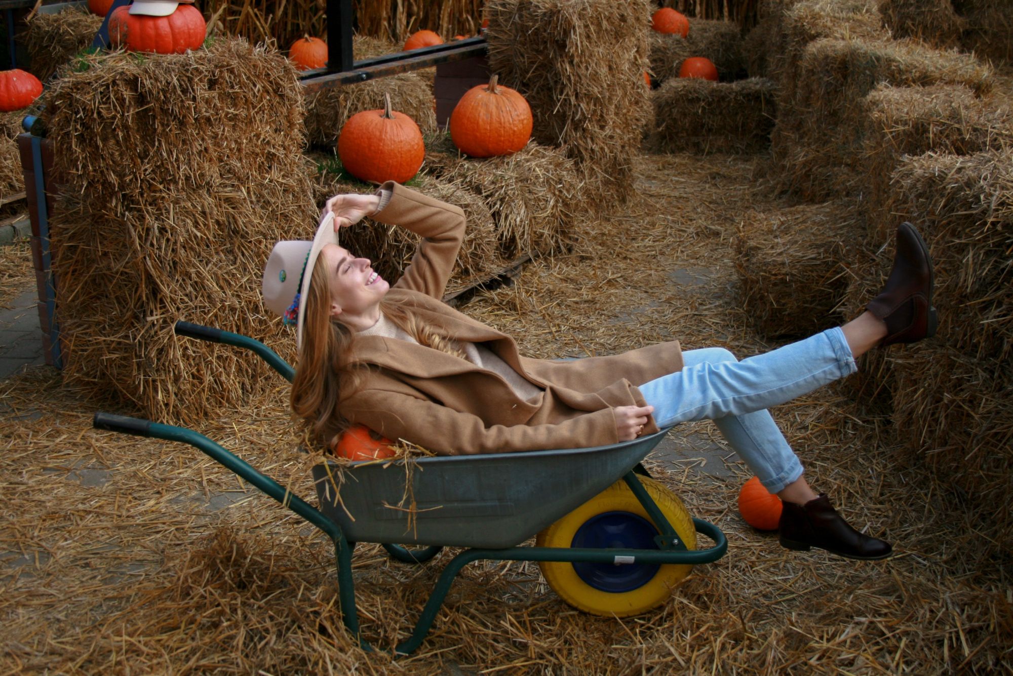 Gilchrist Farm Harvest Festival  and Pumpkin Patch 2022