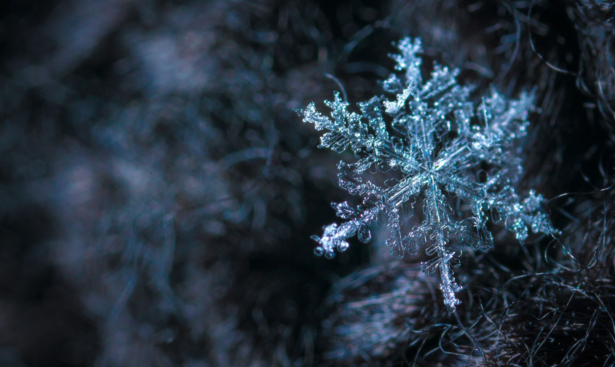 3 Best Ways to Make your Home Winter Ready