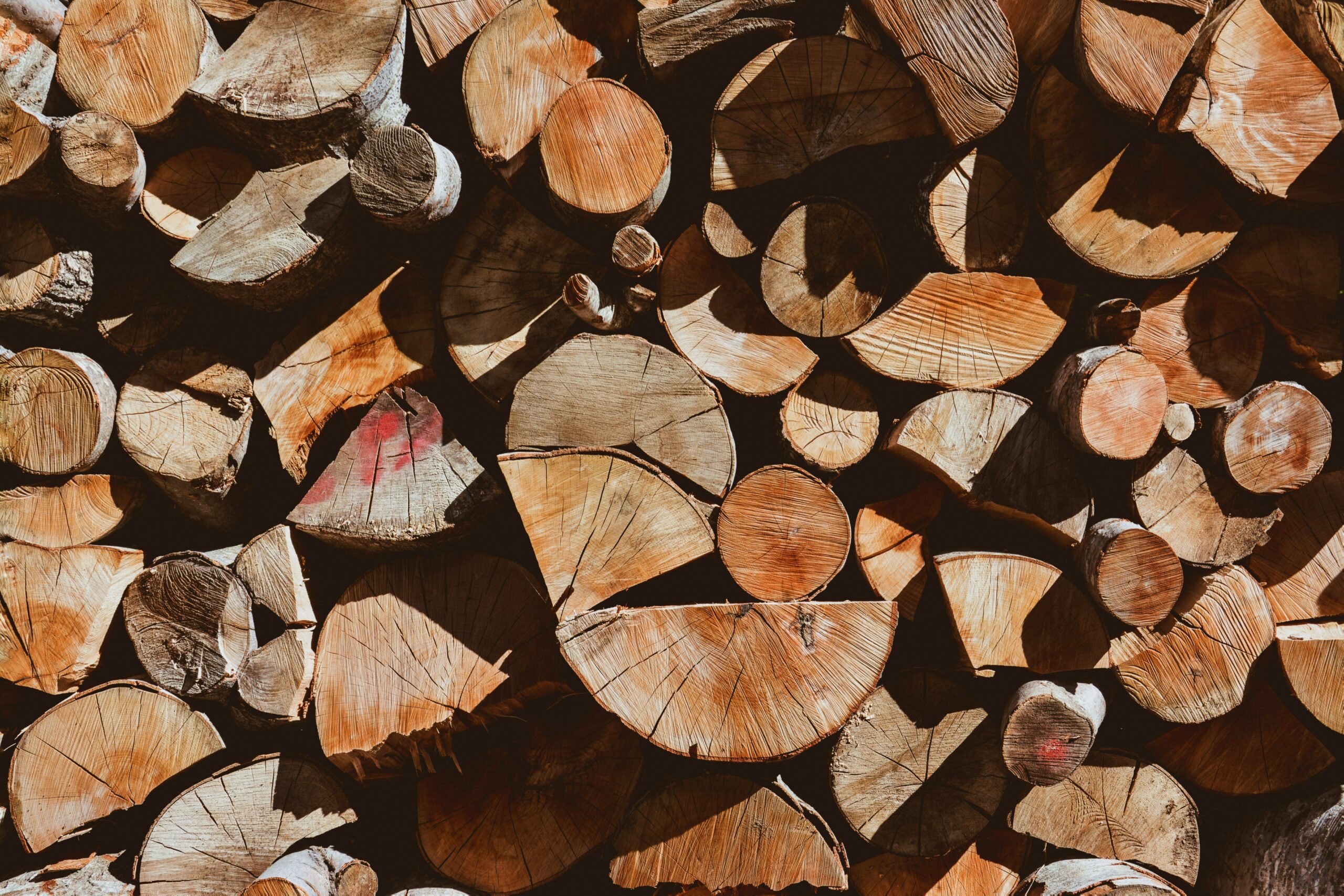 Deterring Pests from Your Firewood Stack DIY Tips for a Clean Supply